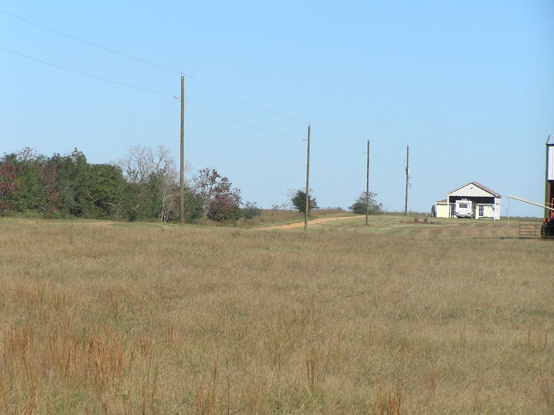 View to the north from the confluence.