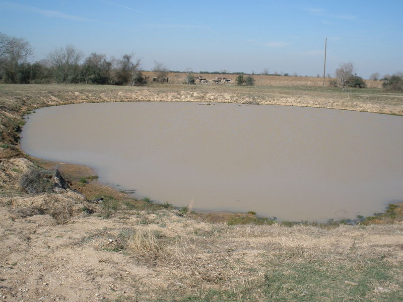 Nearby pond, facing west