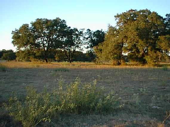 Looking north at the confluence 50 feet away