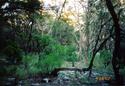 #2: Looking east from confluence