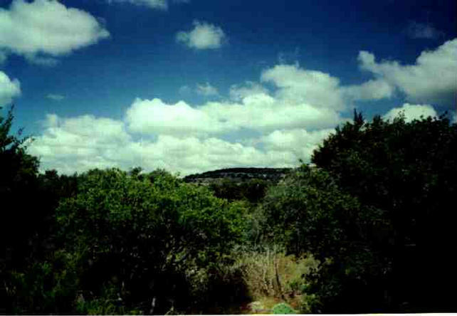 Confluence on the horizon