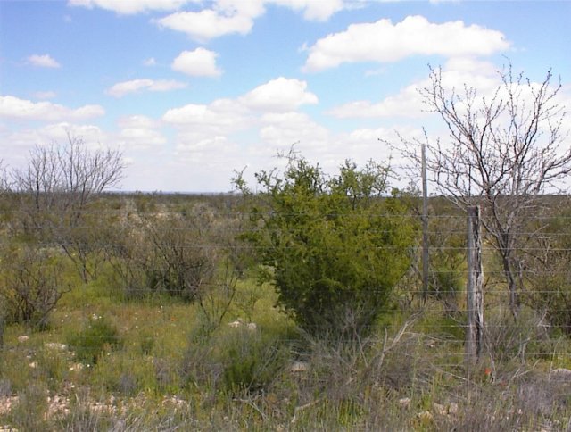 Looking northeast at confluence 1.8 miles away