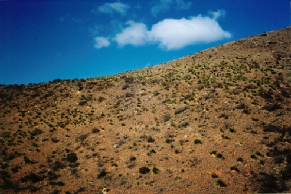 Looking west from confluence