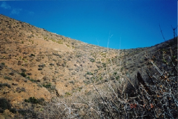 Looking north from confluence