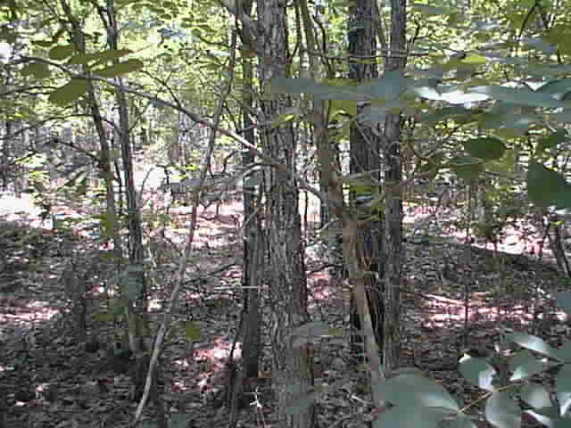 View North from the 31-94 Confluence