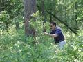 #7: Carlos practicing the confluence dance.  The tree is at the confluence