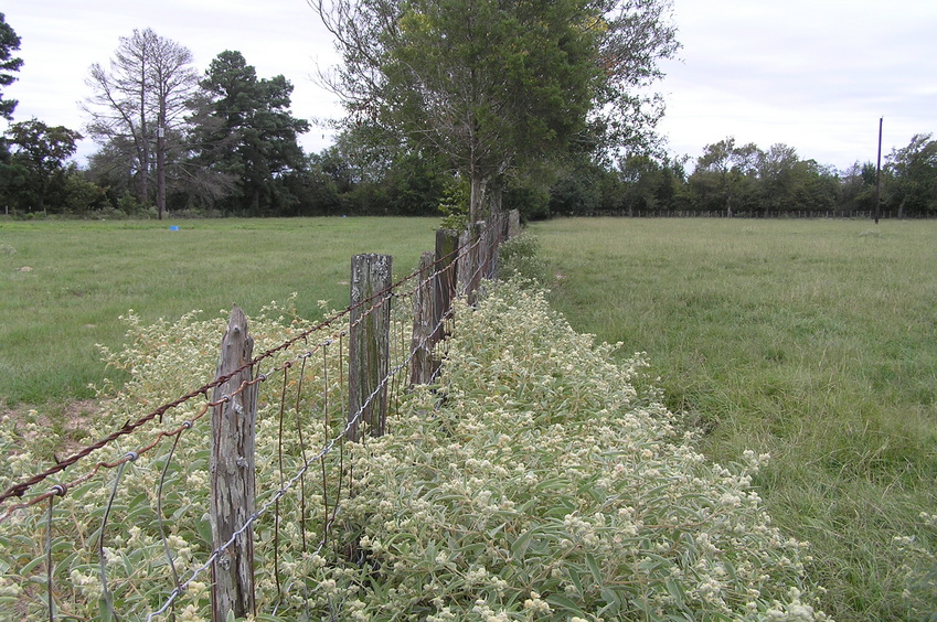 View to the south from the confluence.