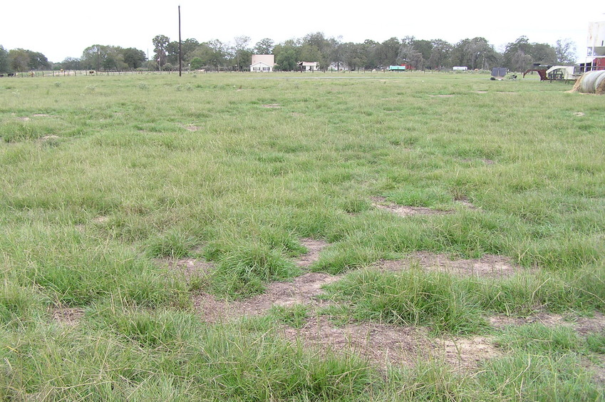 View to the west from the confluence.