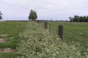 #6: View to the north from the confluence.