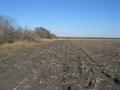 #2: Looking east toward US77