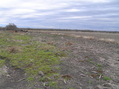 #8: View to the east from the confluence.