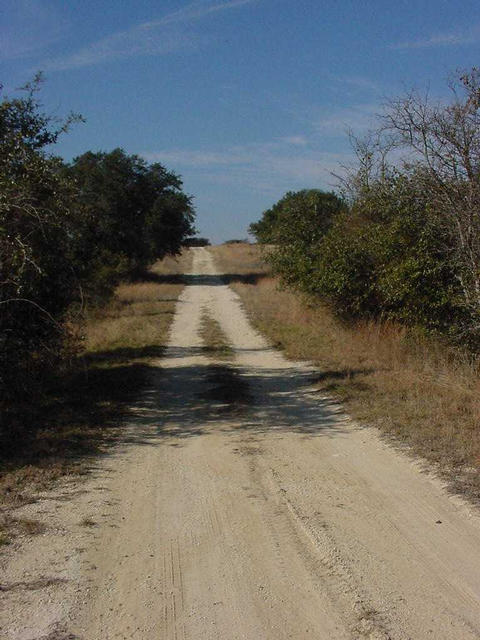 A view up CR 224 E Spur.