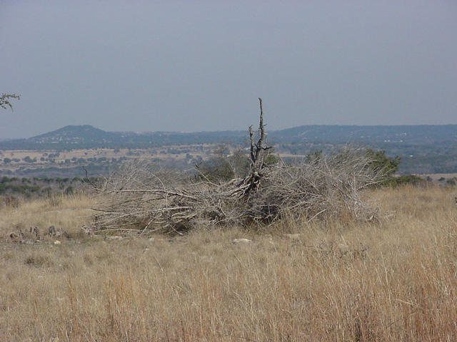 A view of the horizon from the confluence.