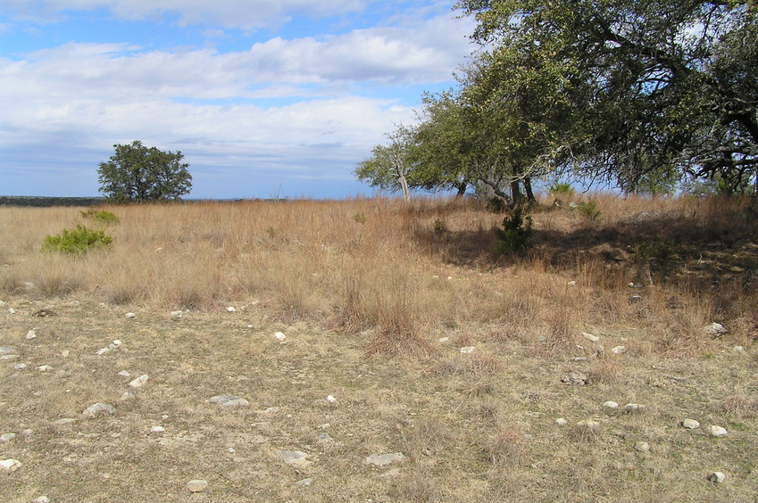 Site of 31 North 98 West, looking north up the ridge, Texas Hill Country USA!