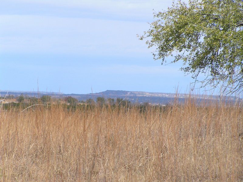 View to the north from the crest of the ridge, about 20 meters north of the confluence.