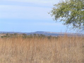 #4: View to the north from the crest of the ridge, about 20 meters north of the confluence.