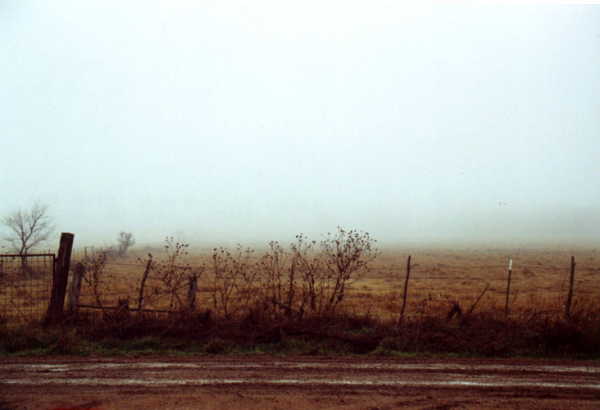 View south into the fog.