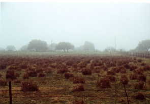 #1: View east along county road 238 to a nearby ranch home.