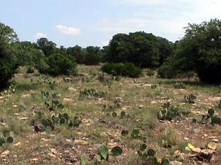 #1: Looking east from site