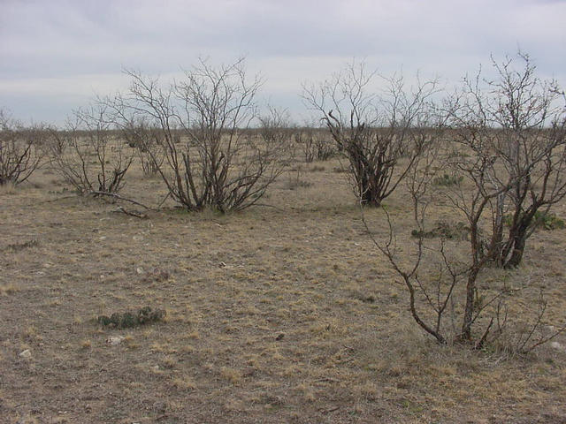 A view facing South.