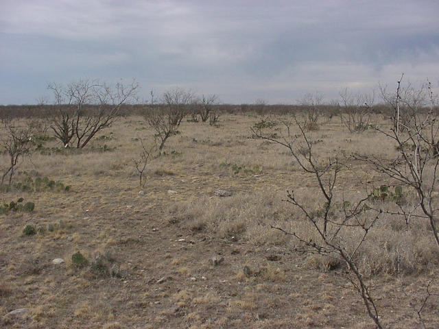 A view facing West.