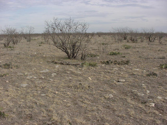 A view facing East.