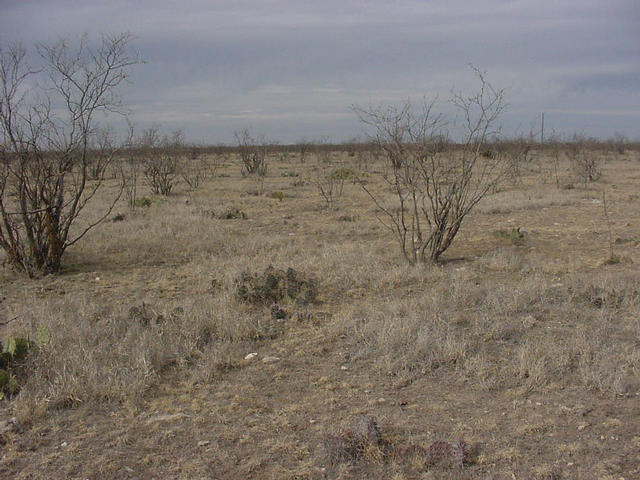 A view facing North.