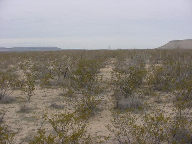 Looking North from the confluence.