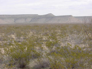 #1: Looking East from the confluence.