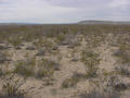 #2: Looking West from the confluence.