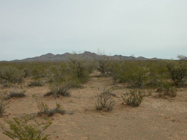 Looking east from the confluence