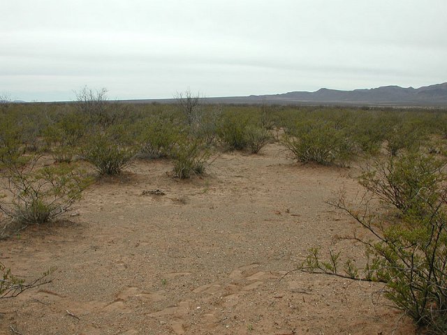 looking south from the confluence towards railroad tracks.