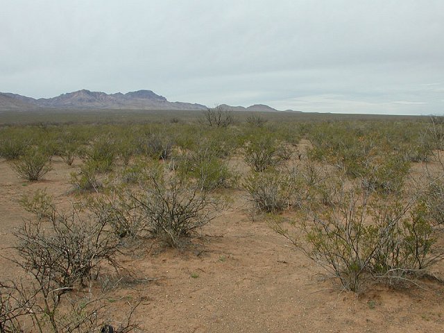 Looking west from the confluence