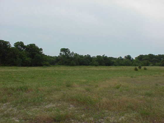 From Confluence Looking East