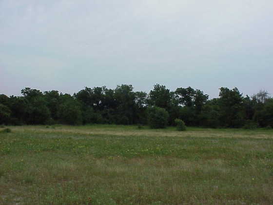 From Confluence Looking West