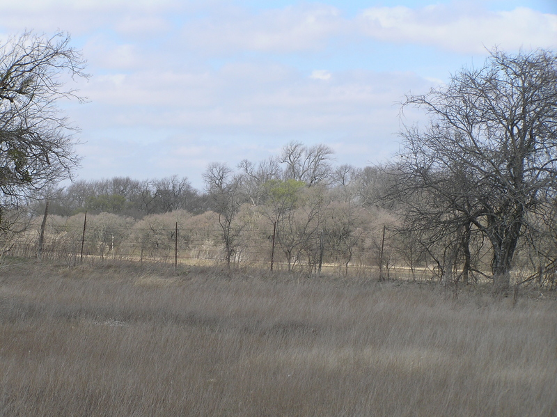 View from the confluence to the northeast. 