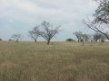 #2: From confluence looking north