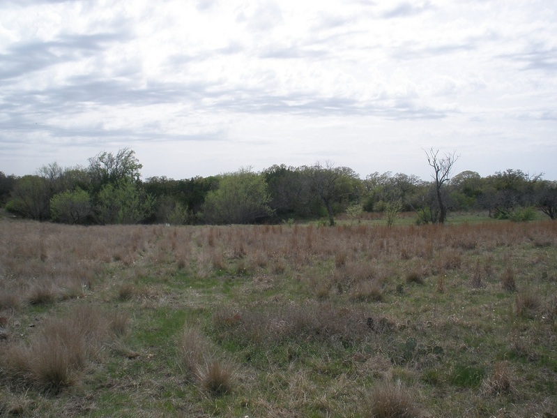 West view, towards small pond