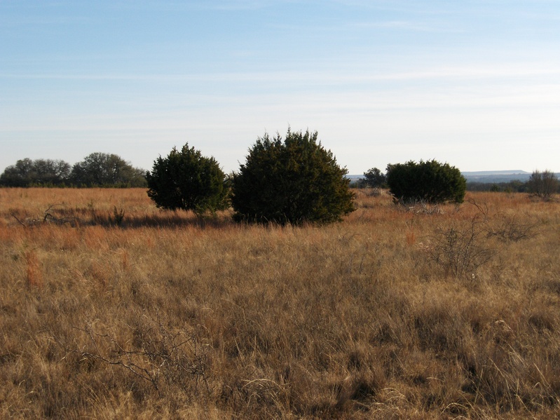 VIEW TO SOUTH