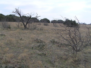 #1: Site of 32 North 98 West, in the foreground, looking to the southeast.