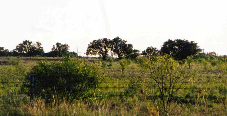 Looking South About 200 Meters from Confluence