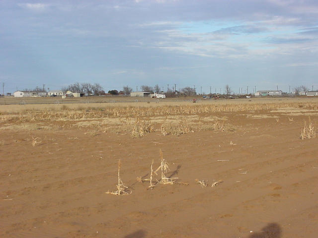 View from the confluence facing East.