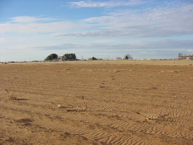 View from the confluence facing North.