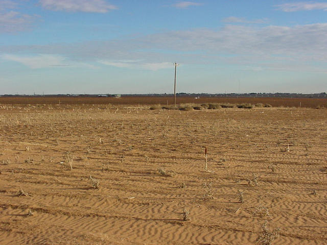 View from the confluence facing South.