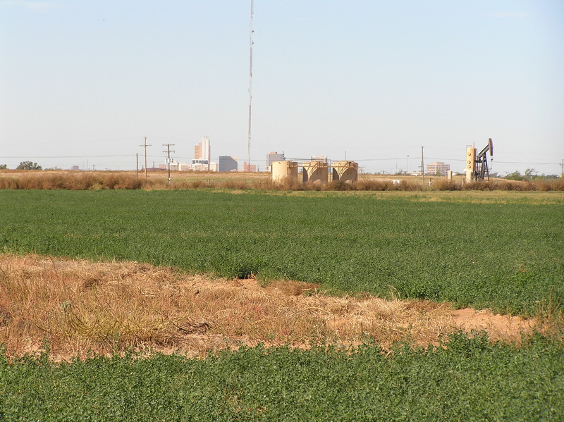 View to the west from the confluence. 