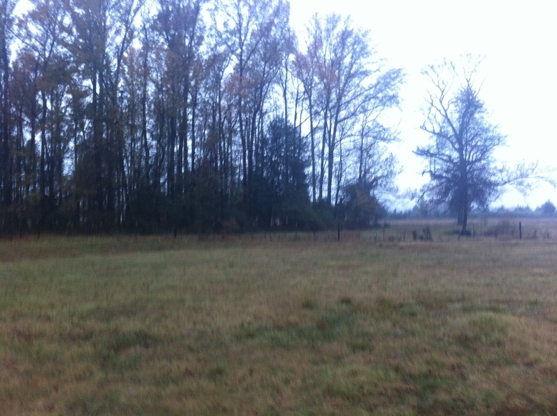 View to the west from the confluence point.