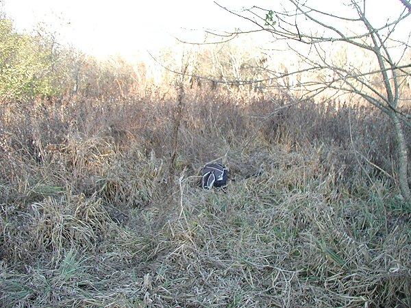 General area - Backpack is at the confluence