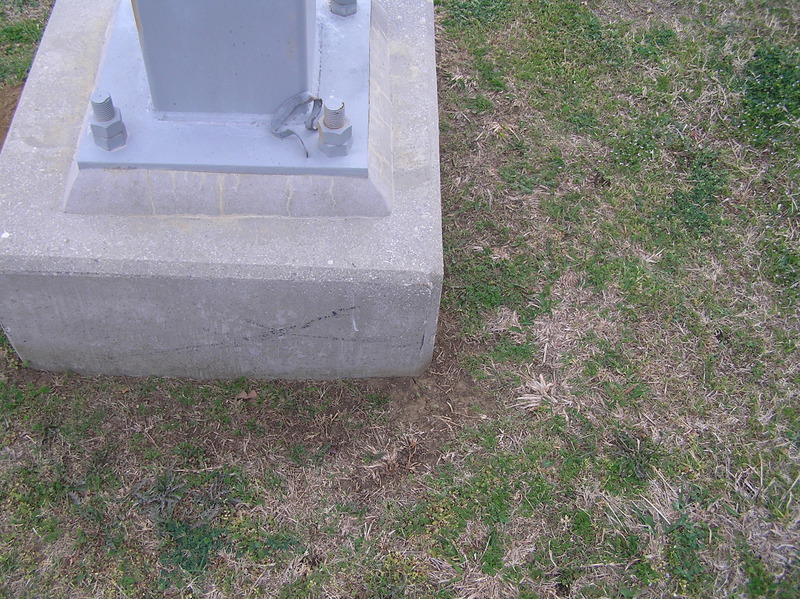 Ground cover at the confluence site.