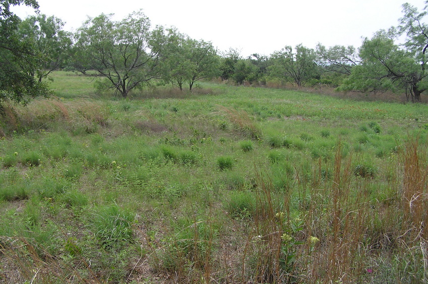 Clearest view to the east, taken 50 meters east of the confluence.