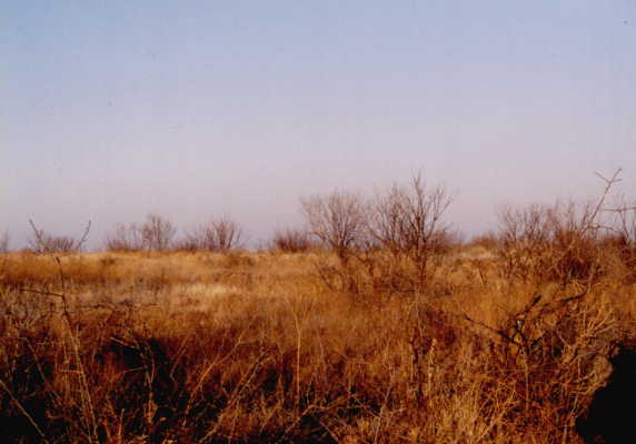 Northeast from confluence.